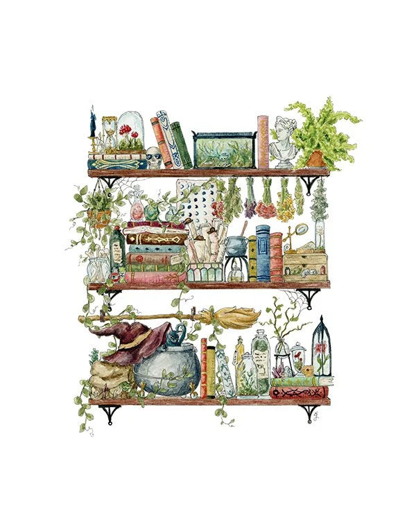 The Witch's Shelves Giclée Print
