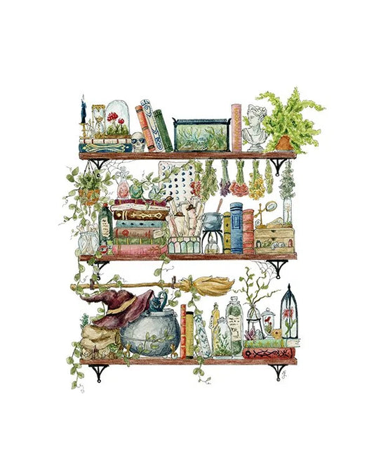 The Witch's Shelves Giclée Print